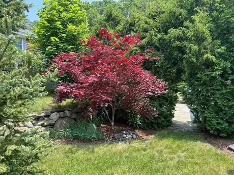 9 Woodlawn Avenue Bedford NH 03110