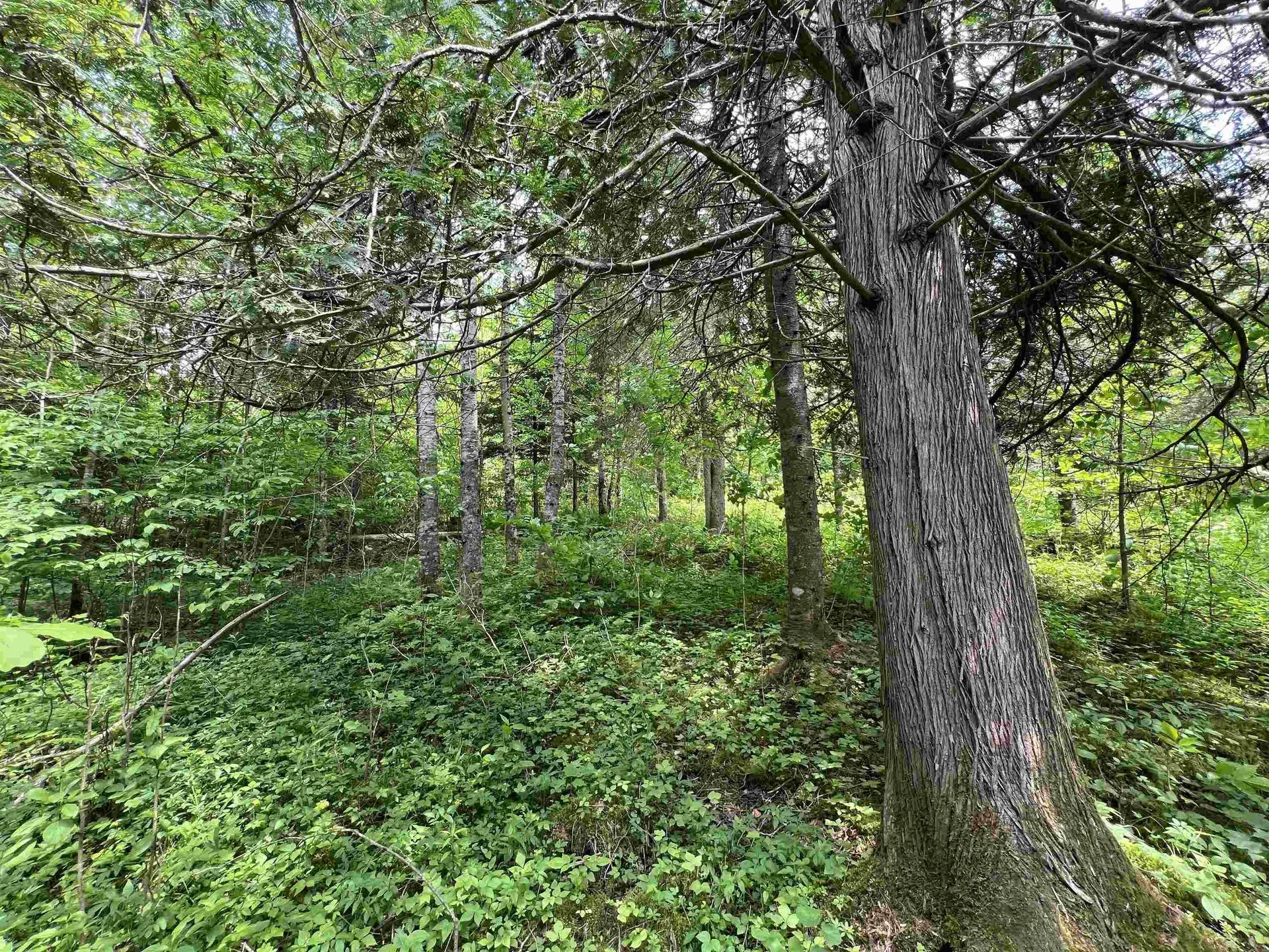 9 Leblanc Road Wheelock VT 05851