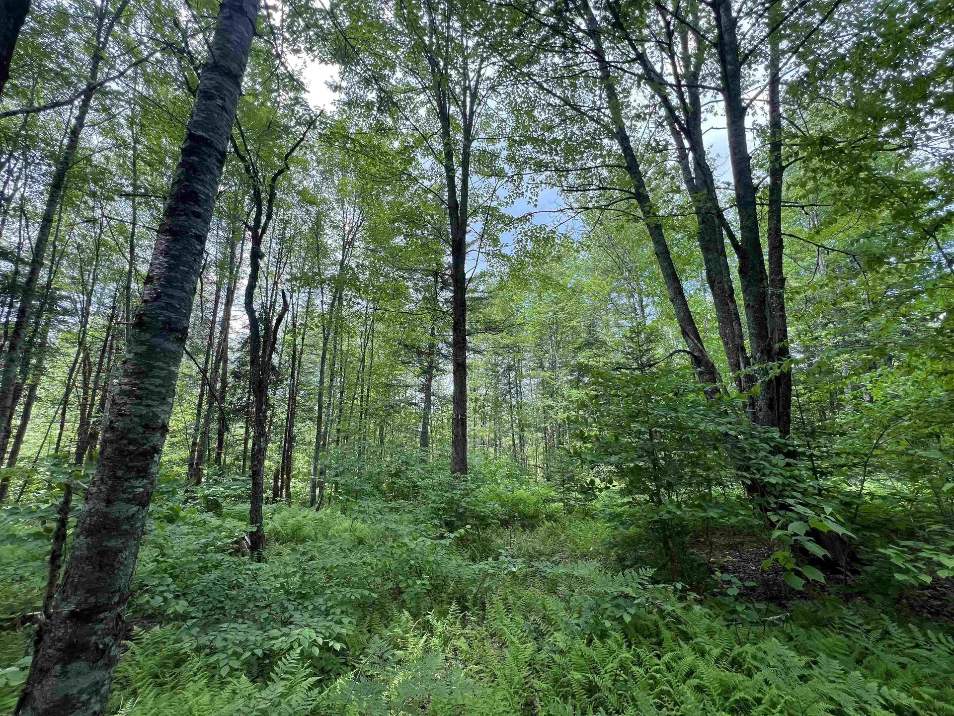 9 Leblanc Road Wheelock VT 05851