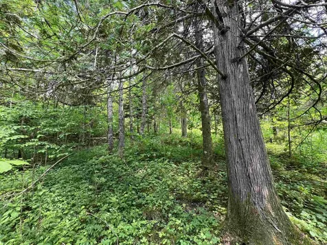 9 Leblanc Road Wheelock VT 05851