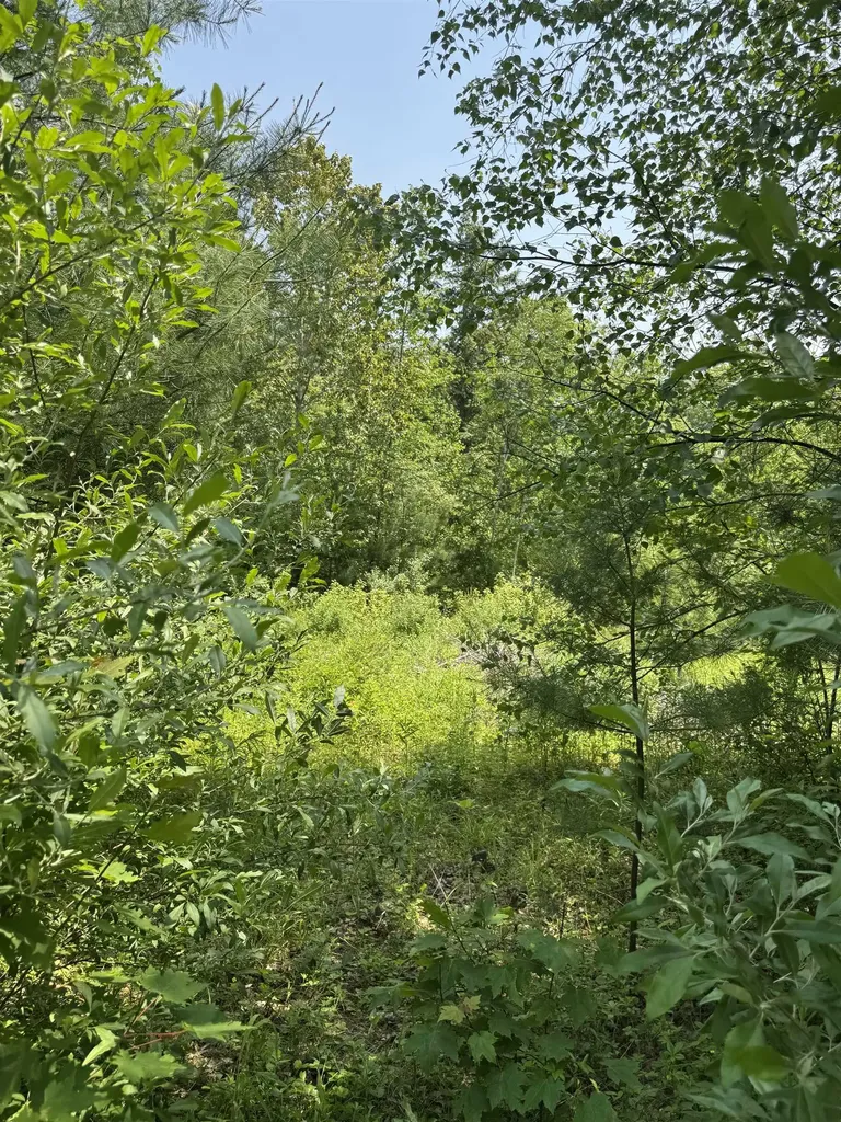 3 Brookside Drive Grantham NH 03753