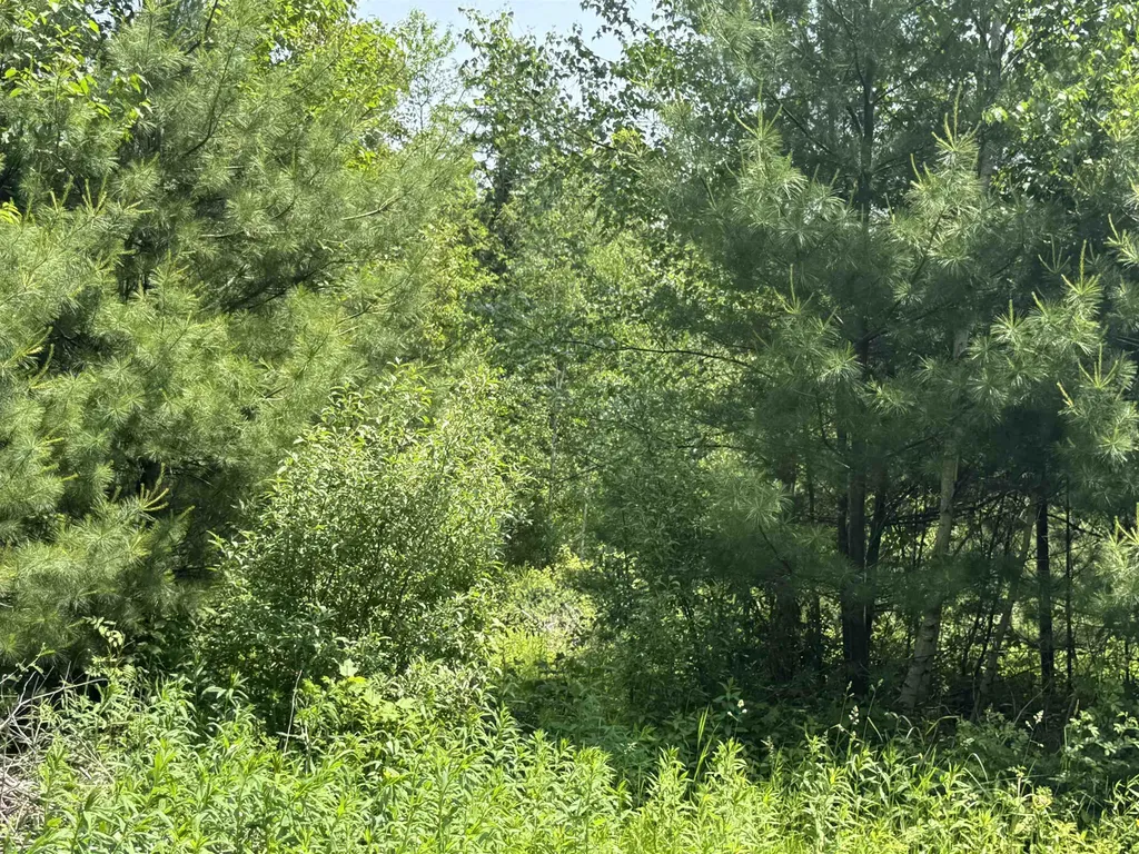 3 Brookside Drive Grantham NH 03753