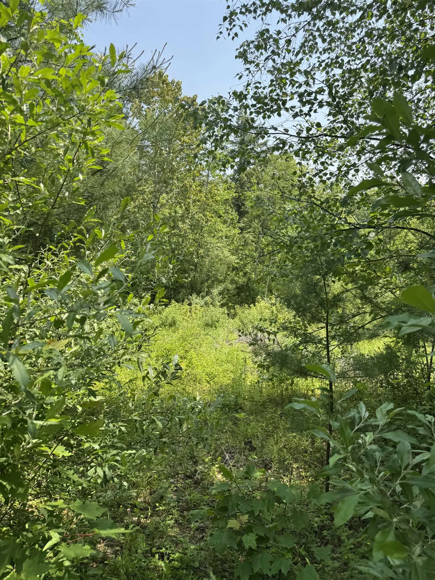 3 Brookside Drive Grantham NH 03753