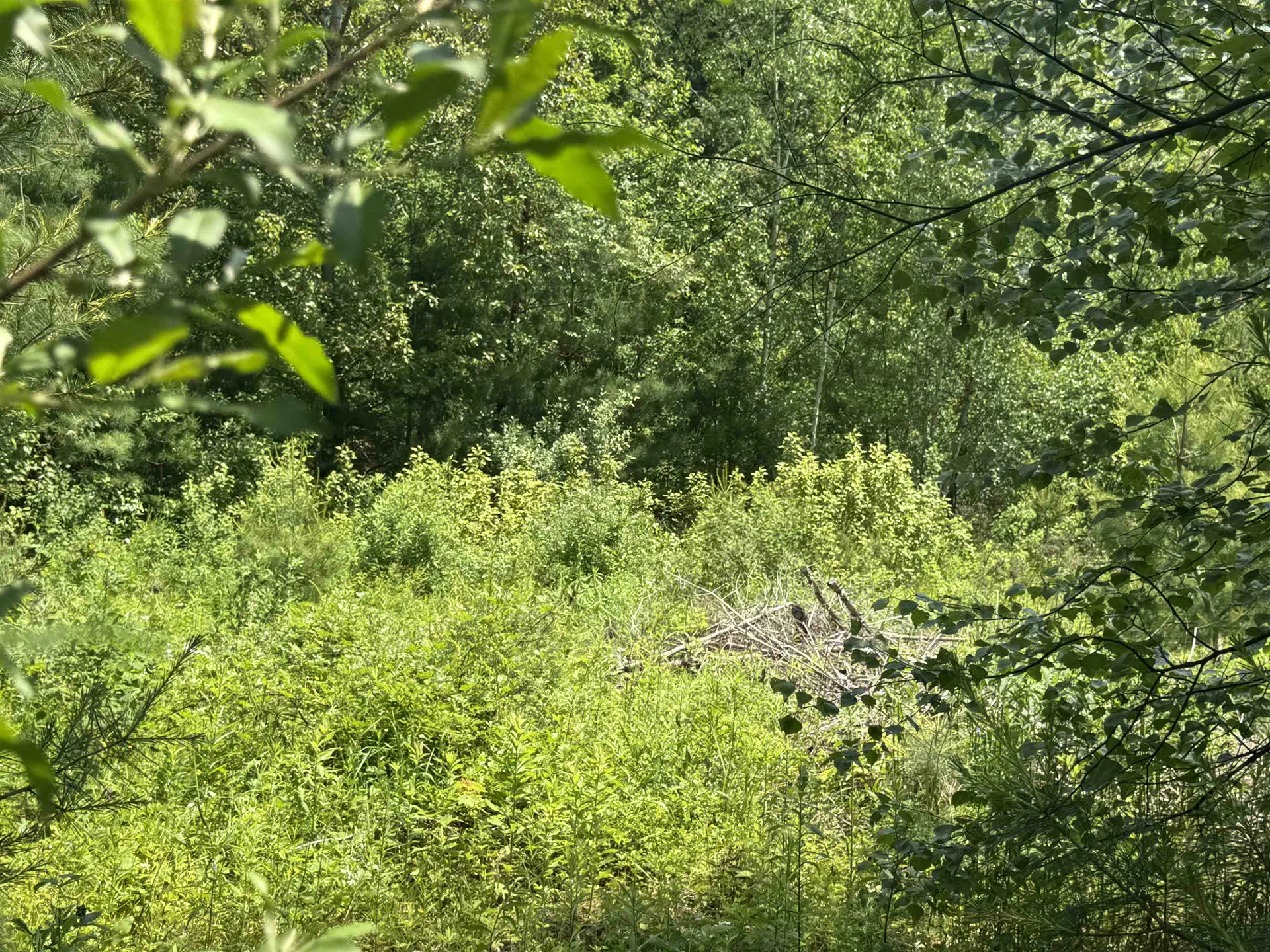 3 Brookside Drive Grantham NH 03753