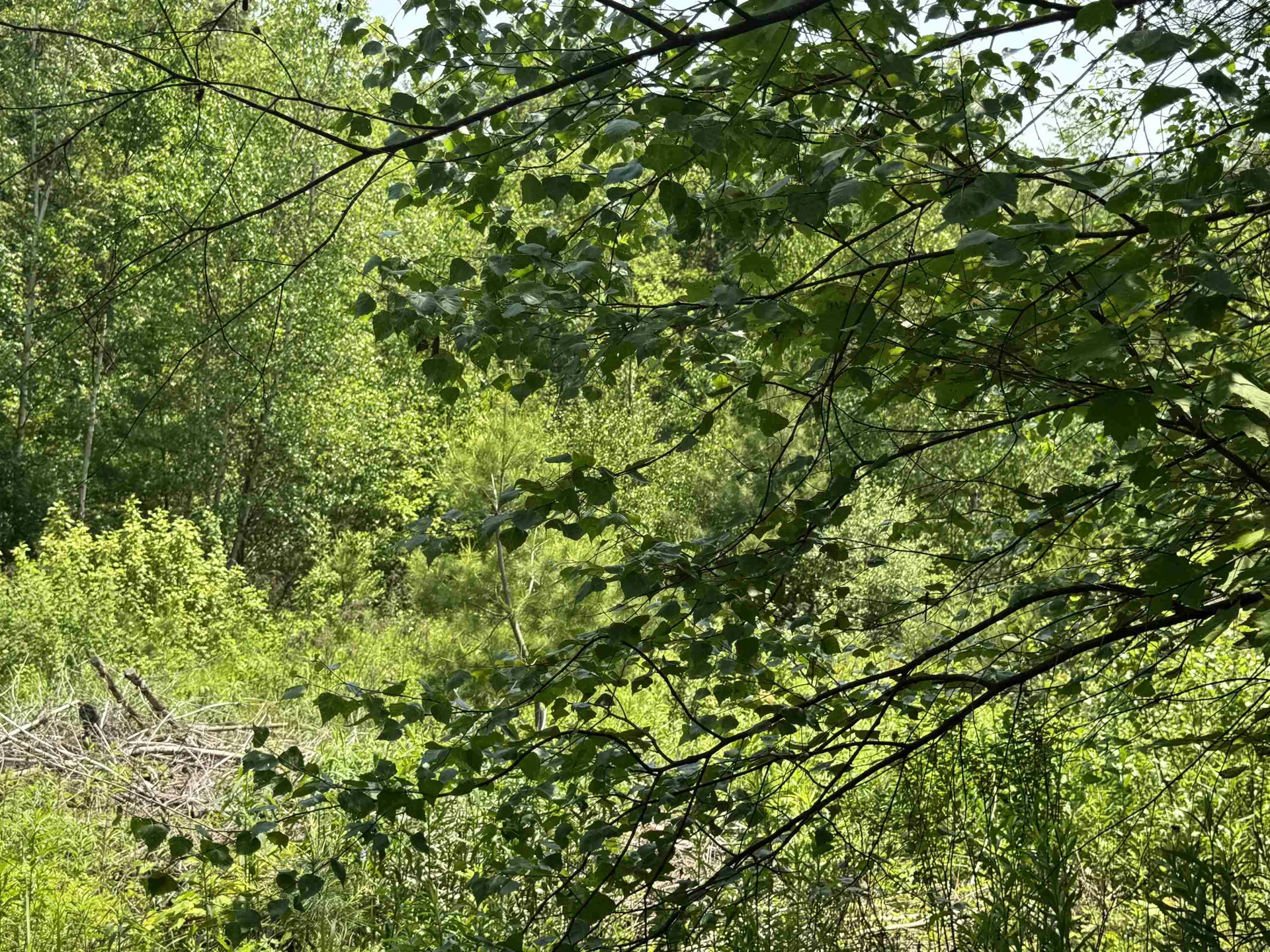 3 Brookside Drive Grantham NH 03753