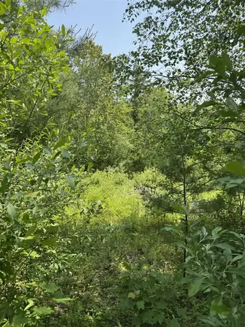 3 Brookside Drive Grantham NH 03753