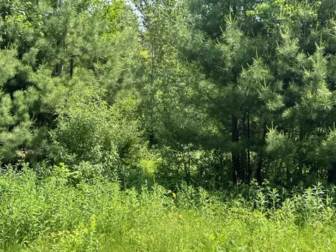 3 Brookside Drive Grantham NH 03753