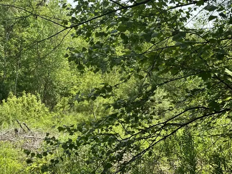 3 Brookside Drive Grantham NH 03753