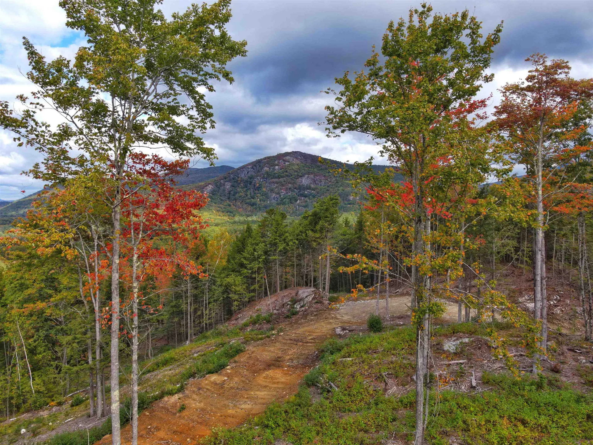 15-12-10-10 Jacob Hall Farm Road Rumney NH 03266-9998