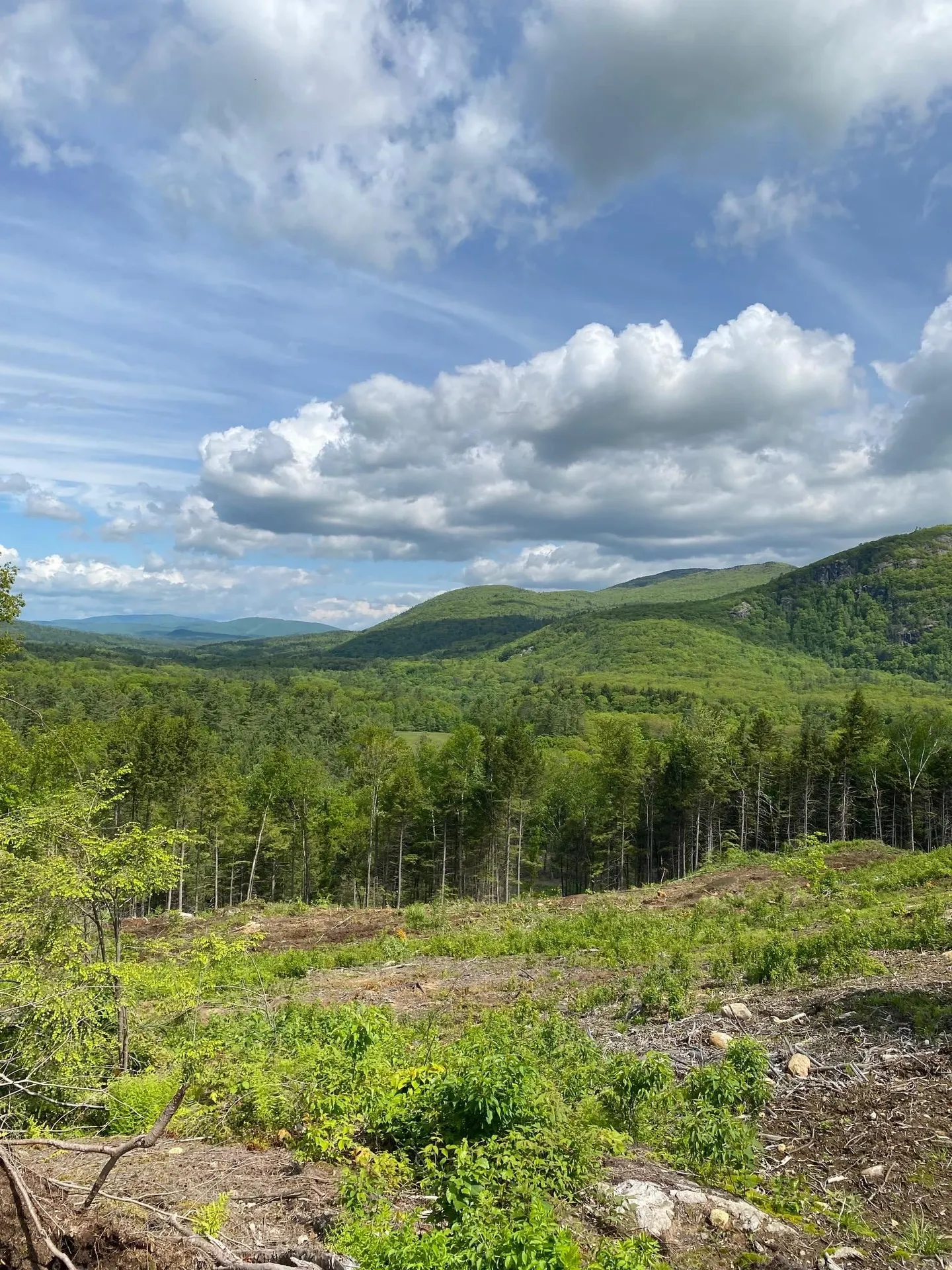 15-12-10-10 Jacob Hall Farm Road Rumney NH 03266-9998