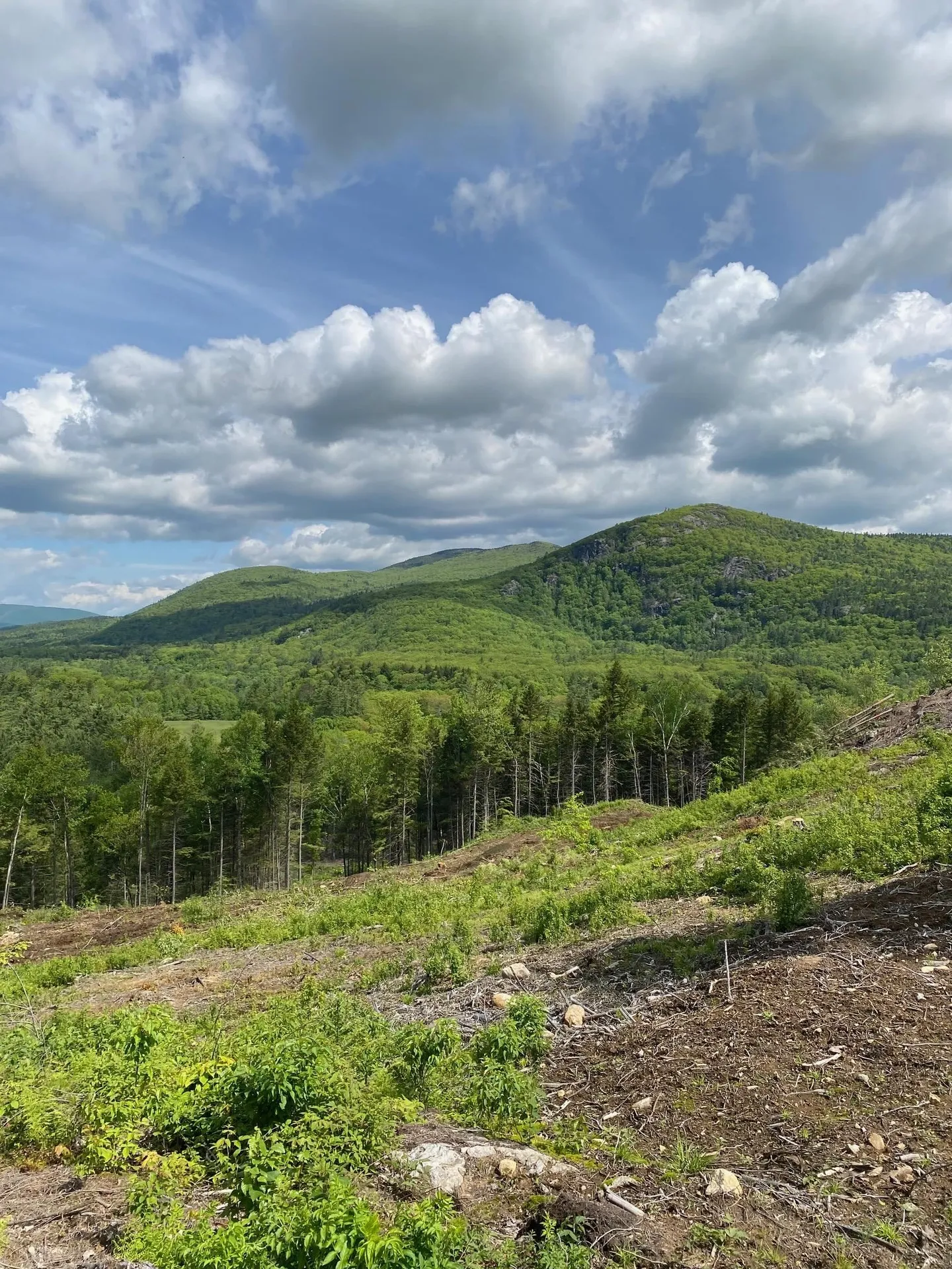 15-12-10-10 Jacob Hall Farm Road Rumney NH 03266-9998