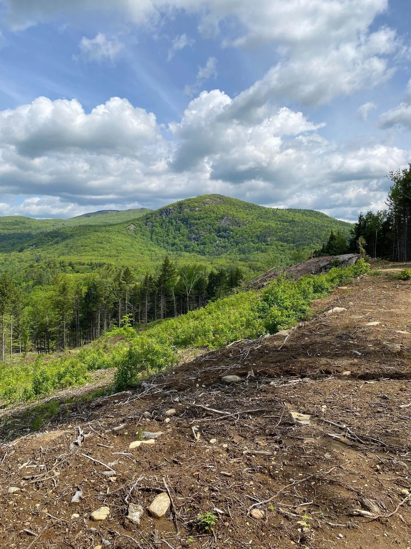 15-12-10-10 Jacob Hall Farm Road Rumney NH 03266-9998