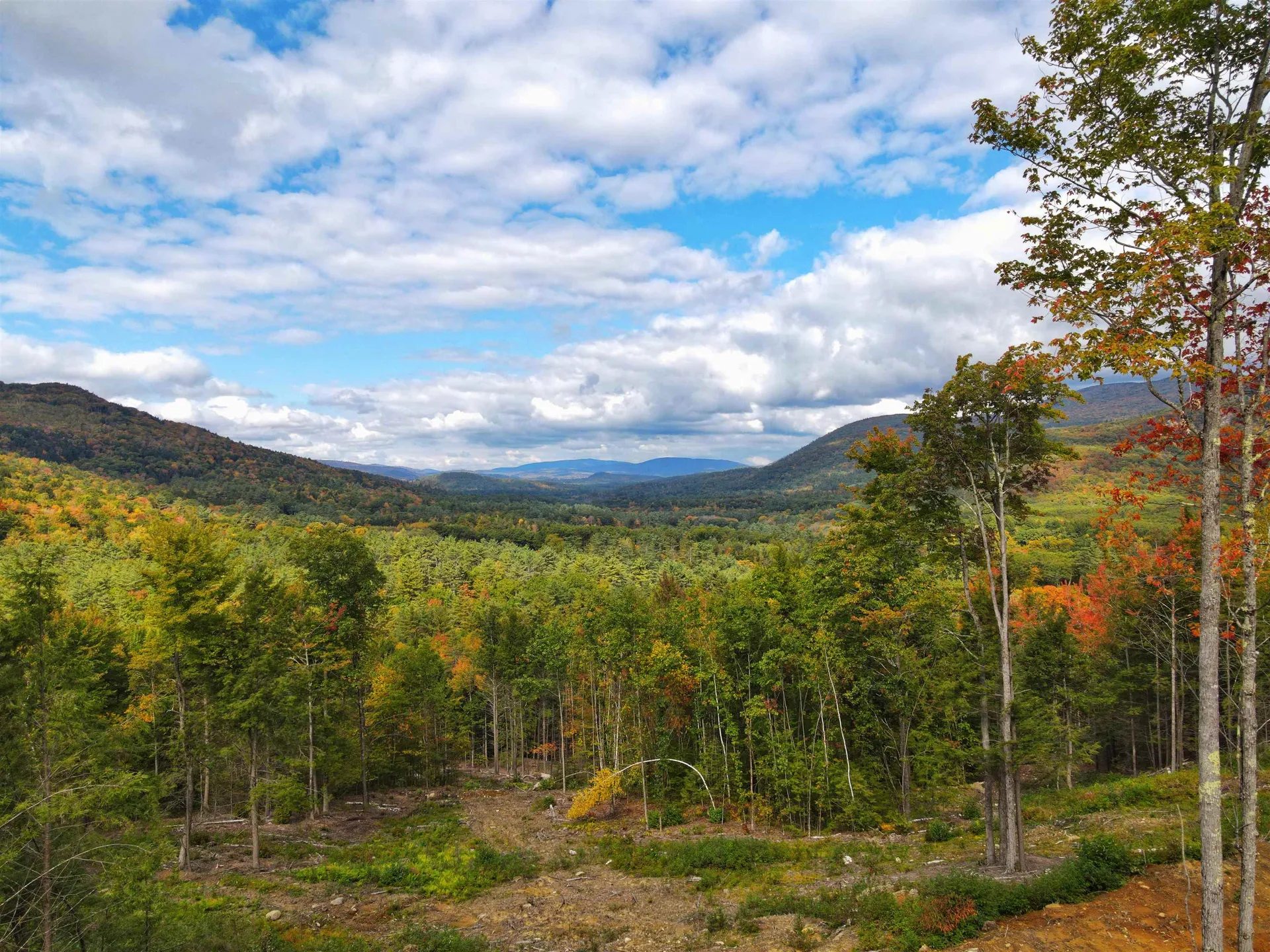 15-12-10-10 Jacob Hall Farm Road Rumney NH 03266-9998