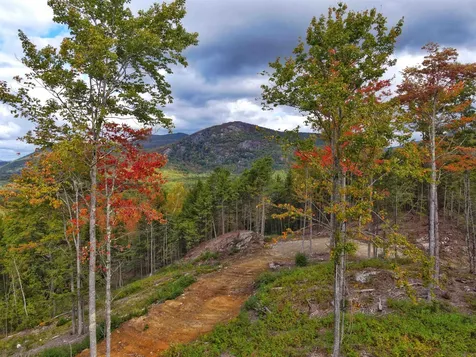 15-12-10-10 Jacob Hall Farm Road Rumney NH 03266-9998