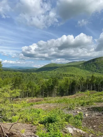 15-12-10-10 Jacob Hall Farm Road Rumney NH 03266-9998