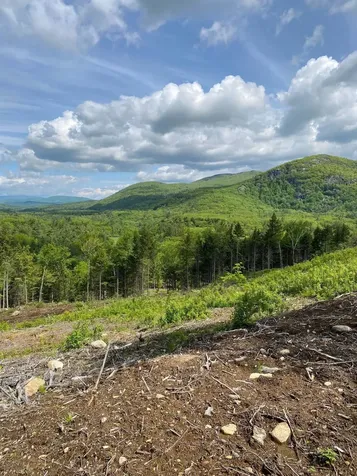 15-12-10-10 Jacob Hall Farm Road Rumney NH 03266-9998