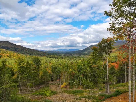 15-12-10-10 Jacob Hall Farm Road Rumney NH 03266-9998