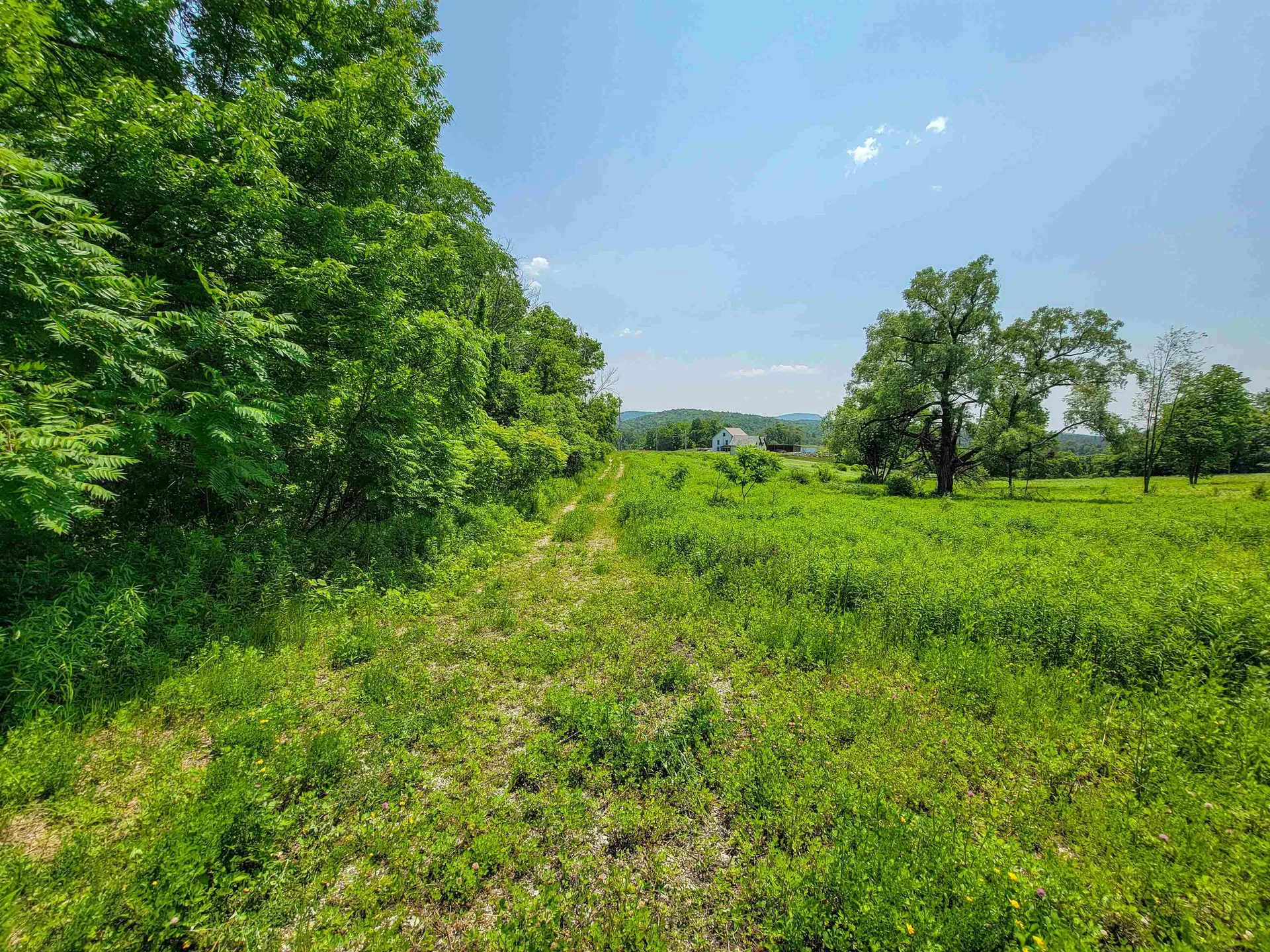 21 Nickerson Road Brandon VT 05733