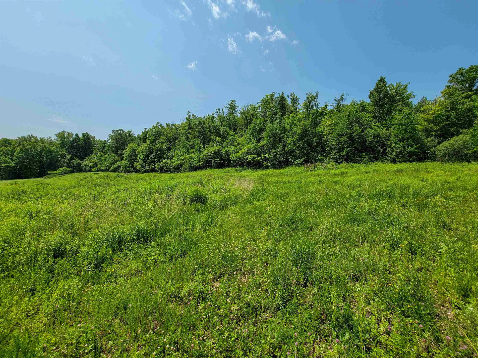 21 Nickerson Road Brandon VT 05733