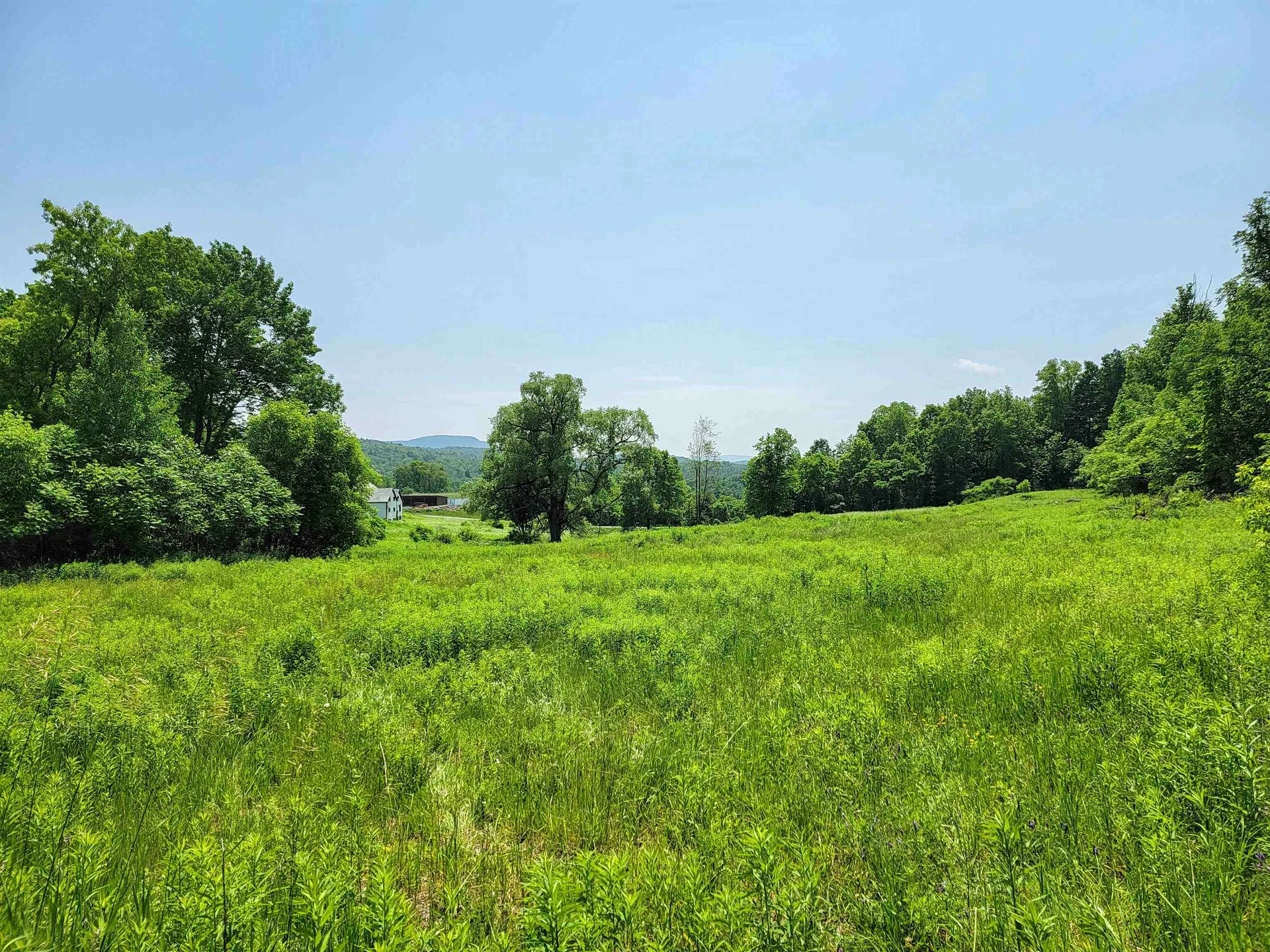 21 Nickerson Road Brandon VT 05733