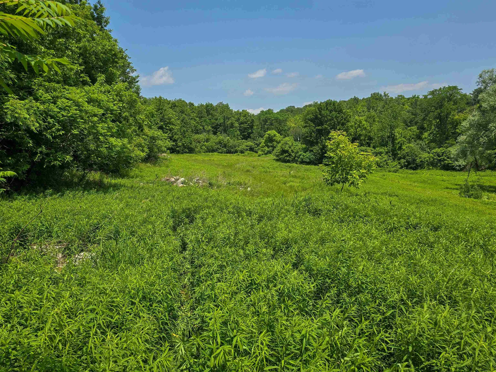 21 Nickerson Road Brandon VT 05733