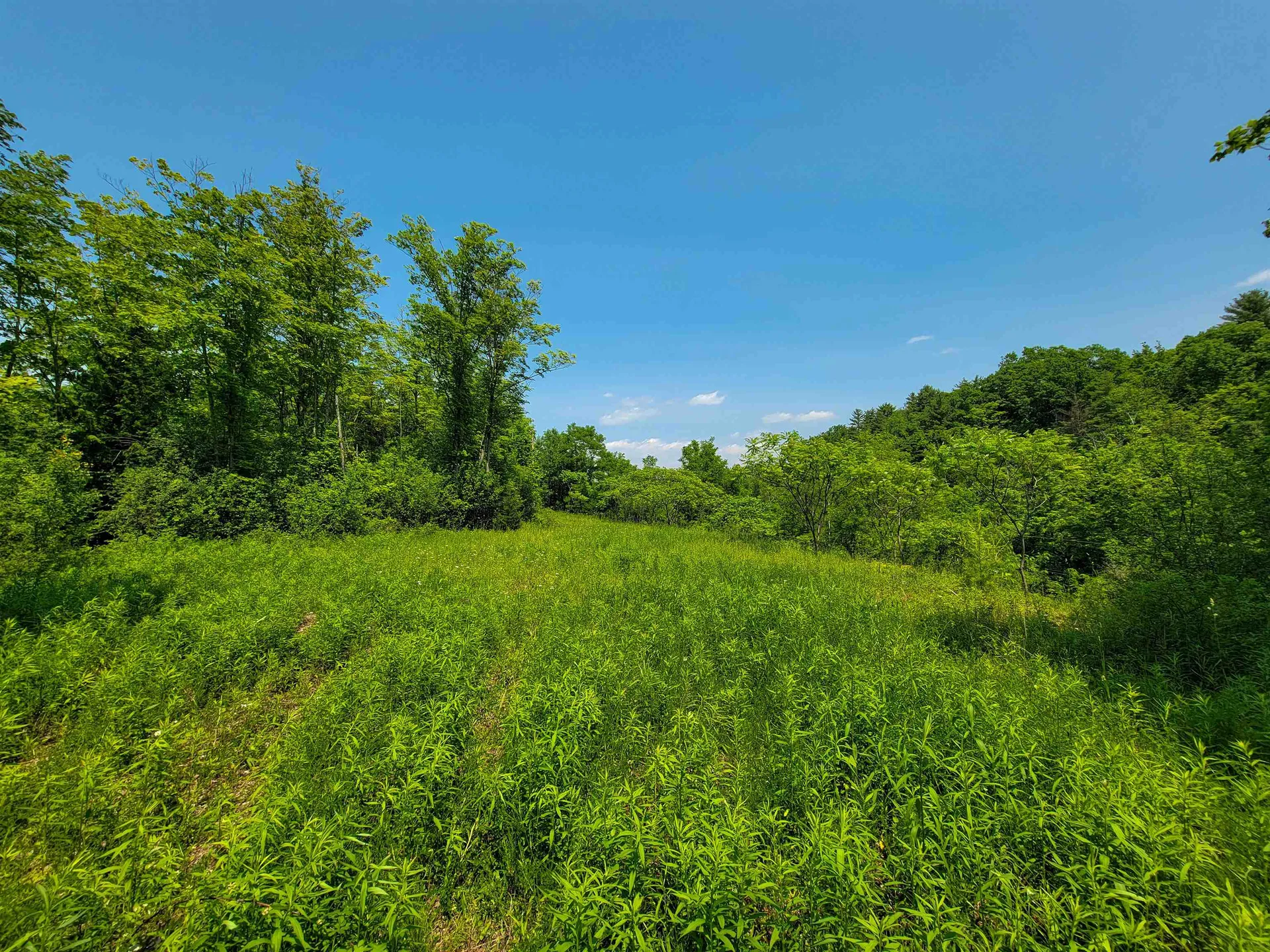 21 Nickerson Road Brandon VT 05733