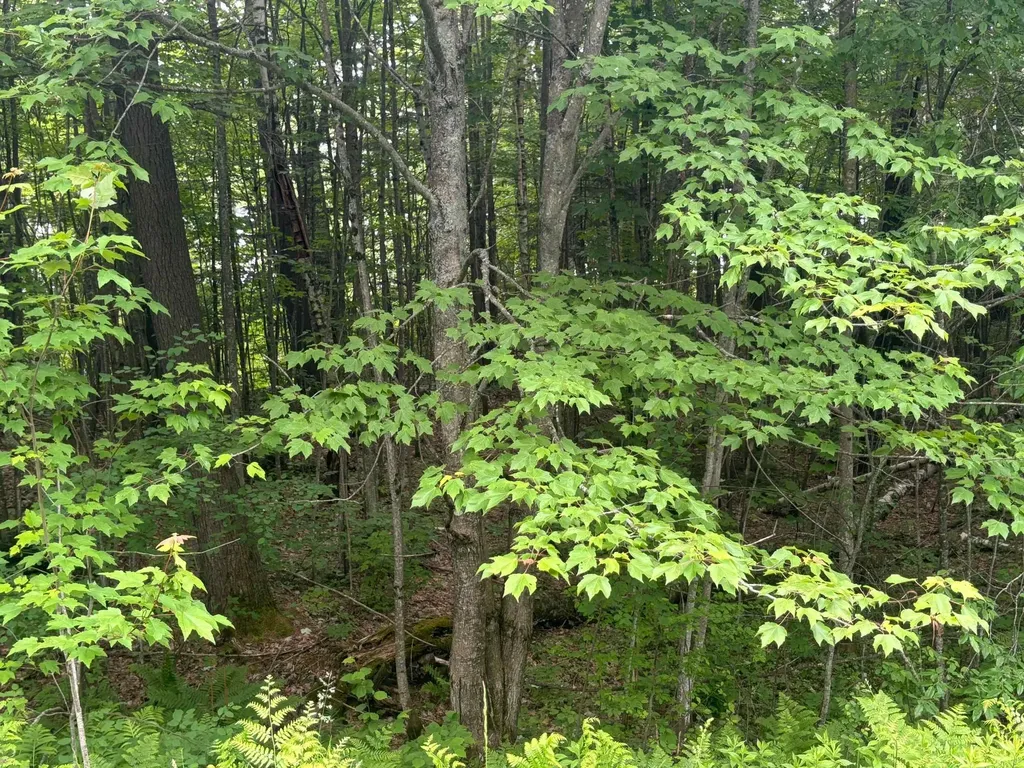 00 Vt Route 105 Brighton VT 05846