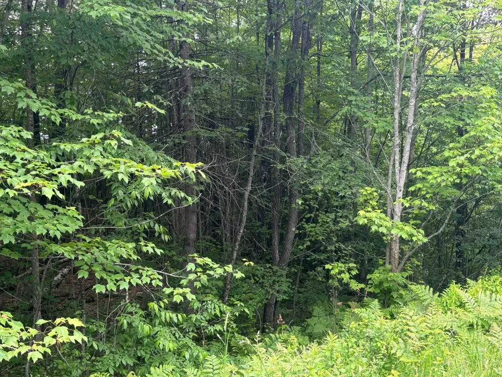 00 Vt Route 105 Brighton VT 05846