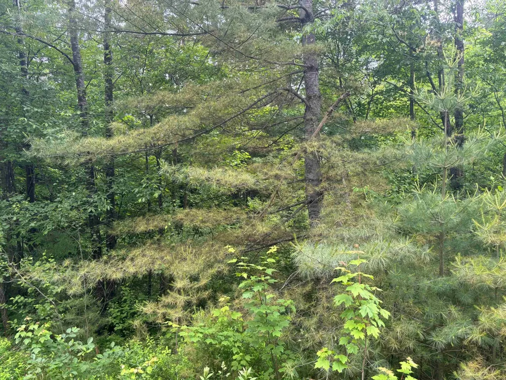 00 Vt Route 105 Brighton VT 05846