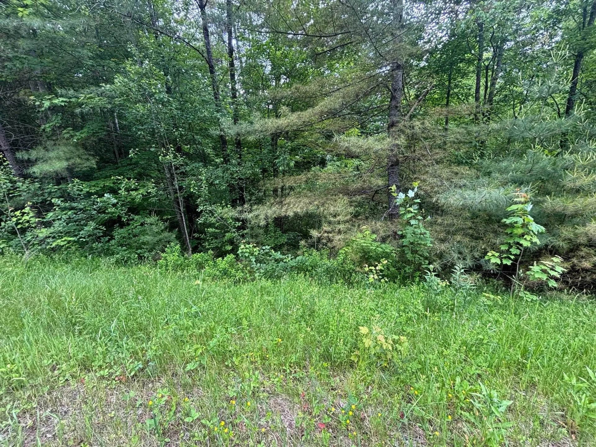 00 Vt Route 105 Brighton VT 05846