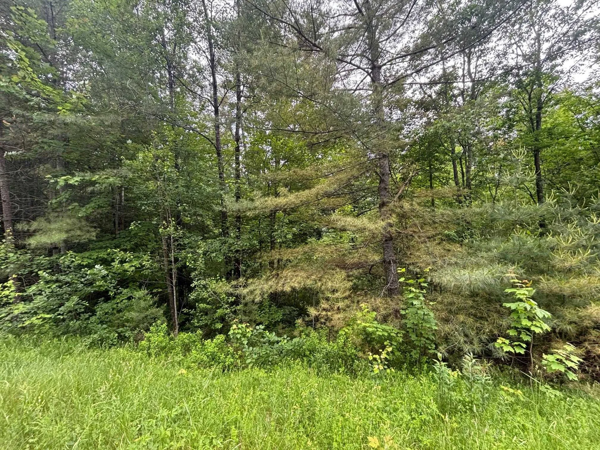 00 Vt Route 105 Brighton VT 05846