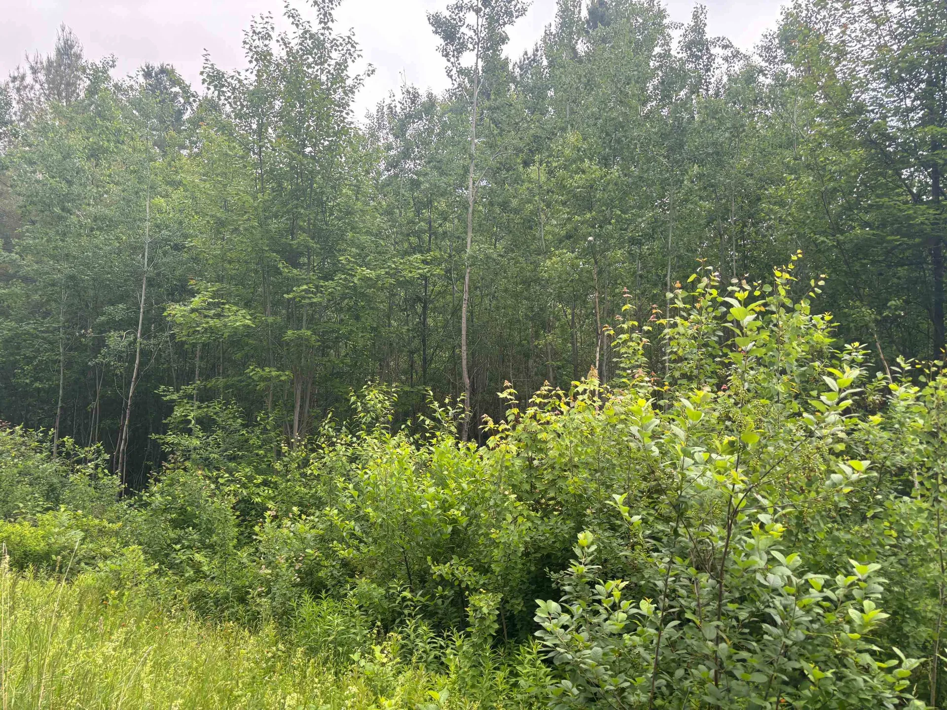 00 Vt Route 105 Brighton VT 05846