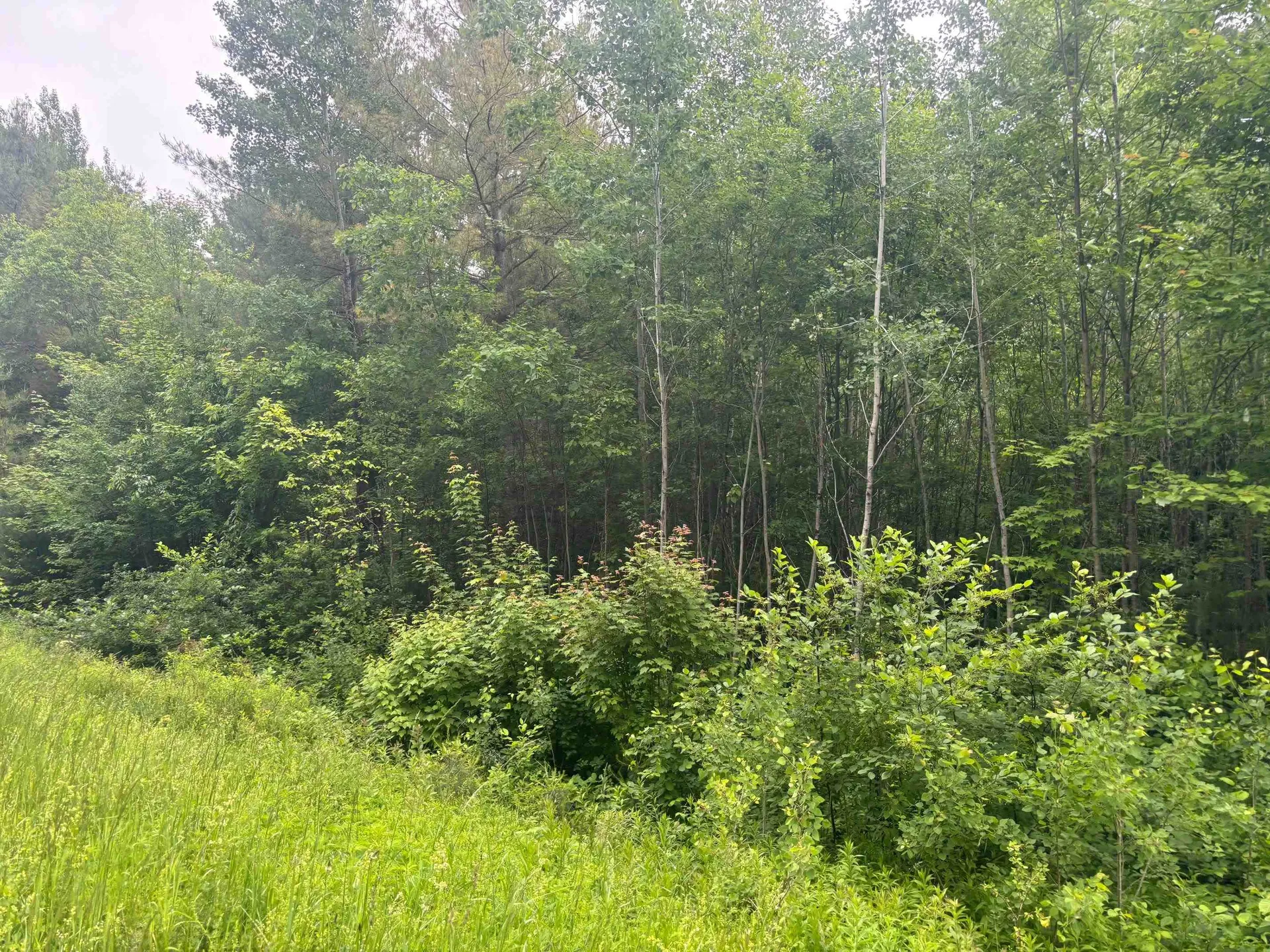 00 Vt Route 105 Brighton VT 05846