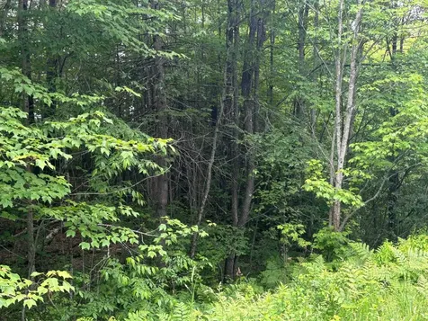 00 Vt Route 105 Brighton VT 05846