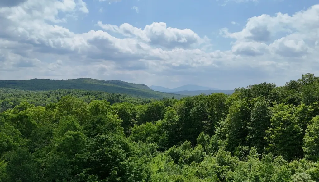 80 Fox Road Newark VT 05871