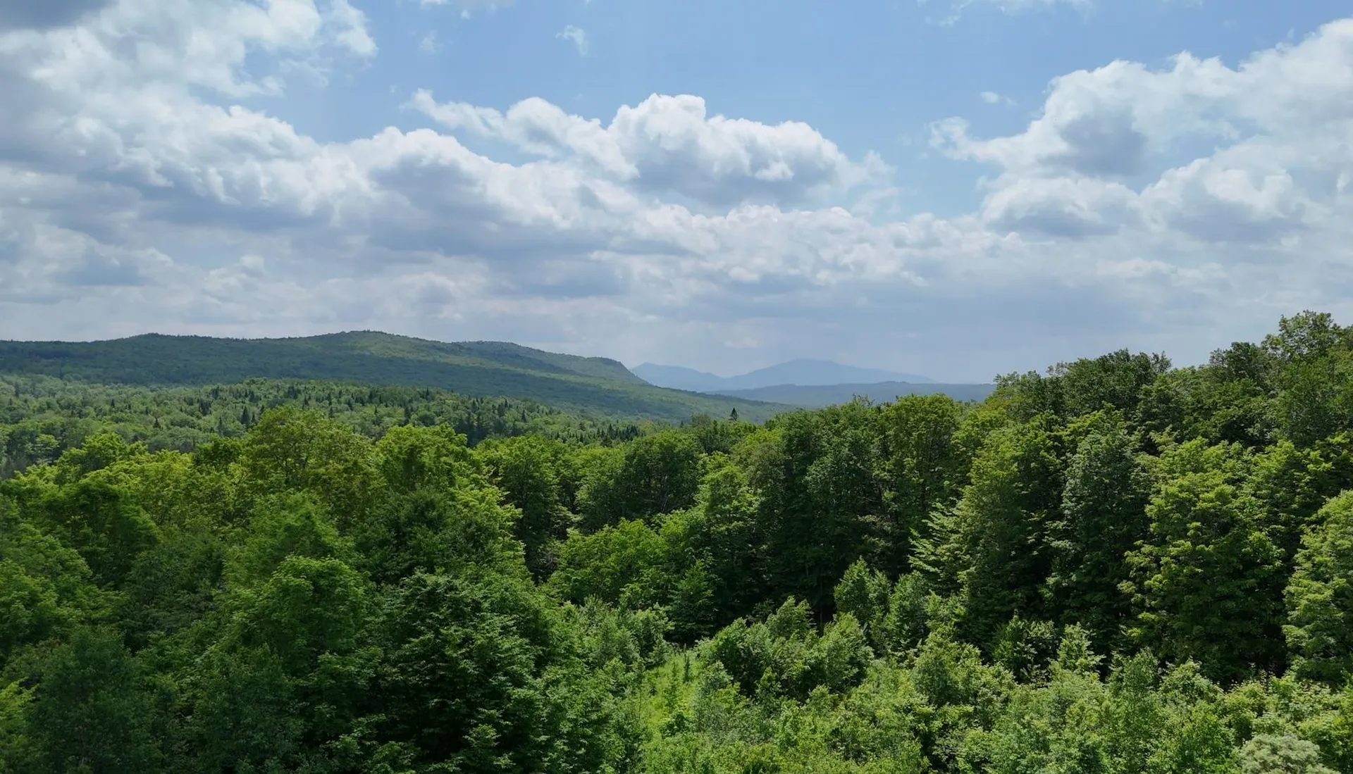 80 Fox Road Newark VT 05871