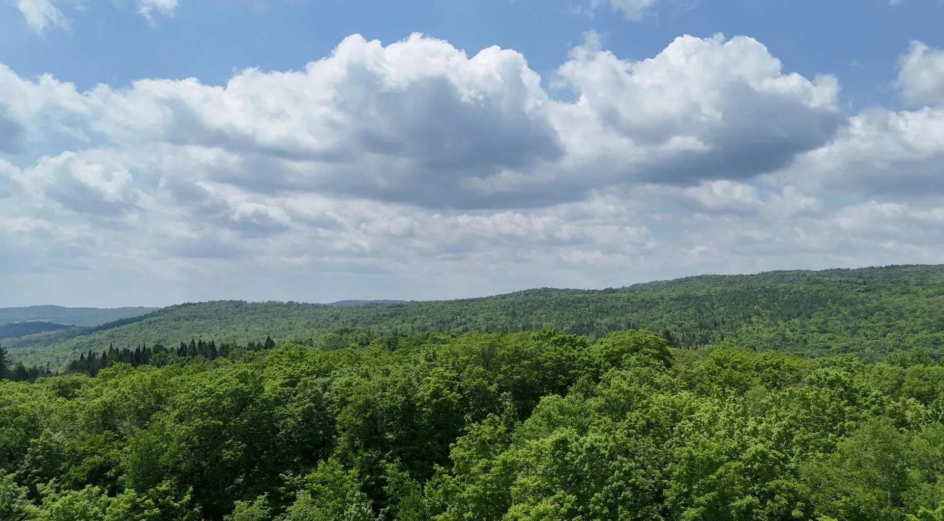 80 Fox Road Newark VT 05871