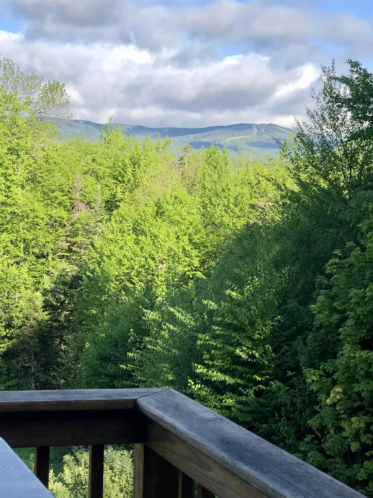 42 Sugar House Road Dover VT 05356