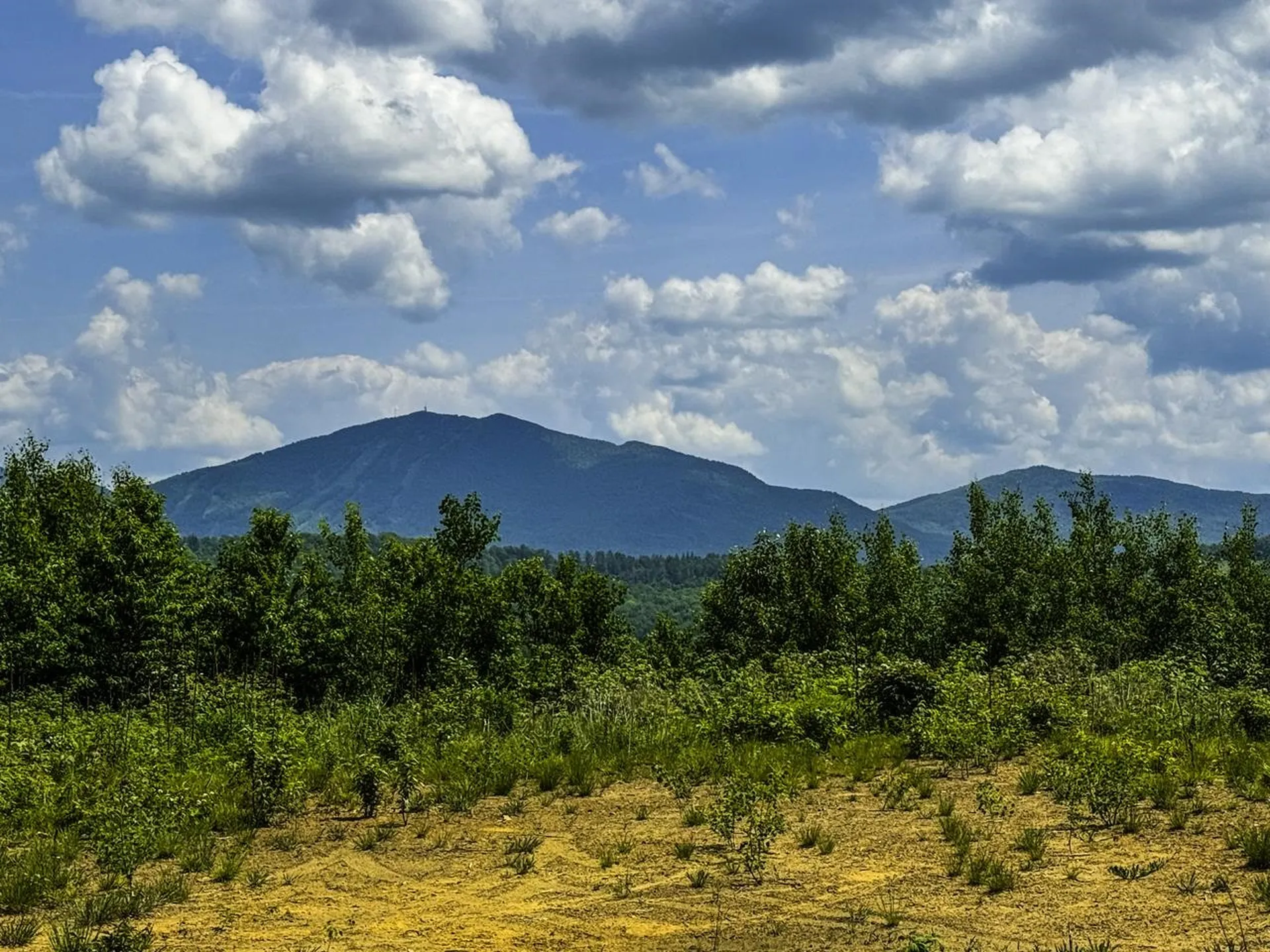 0 Lynburke Road Burke VT 05871