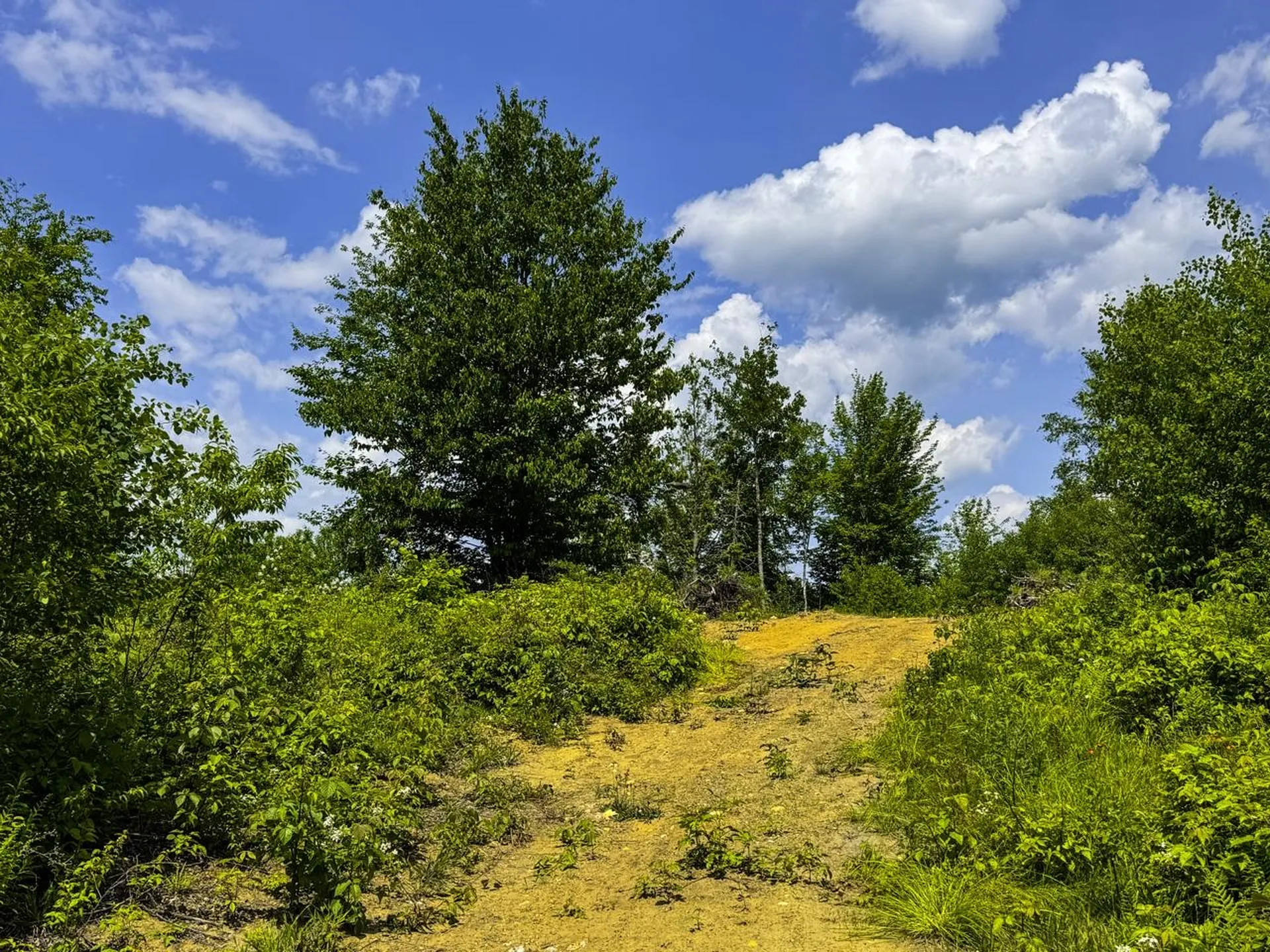 0 Lynburke Road Burke VT 05871