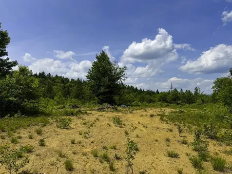 0 Lynburke Road Burke VT 05871