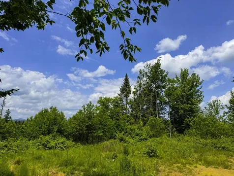 0 Lynburke Road Burke VT 05871