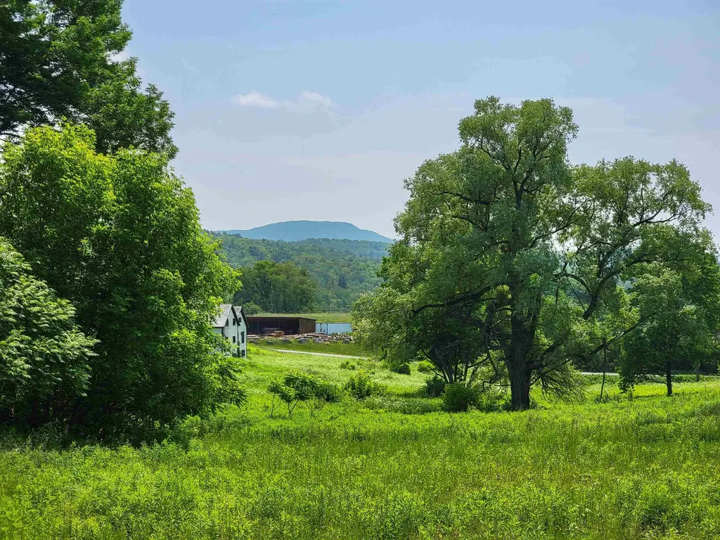 21 Nickerson Road Brandon VT 05733