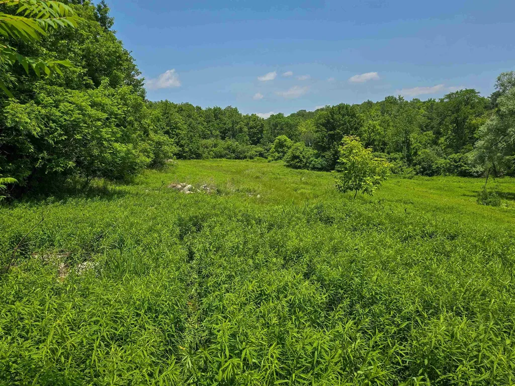 21 Nickerson Road Brandon VT 05733