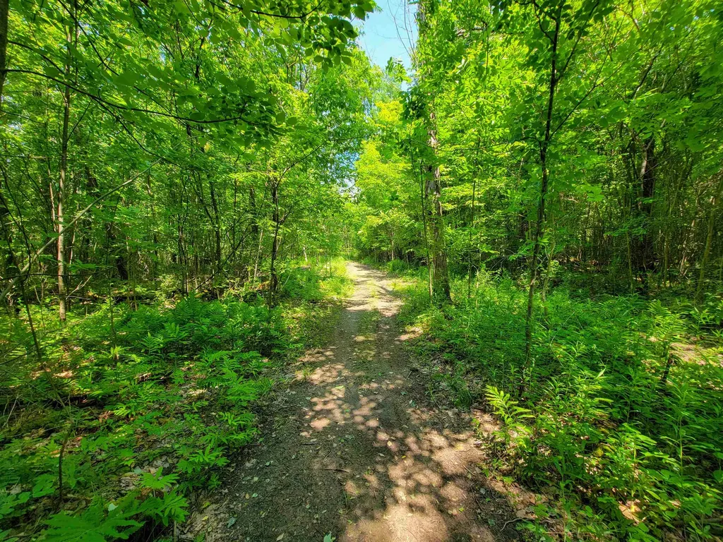 21 Nickerson Road Brandon VT 05733