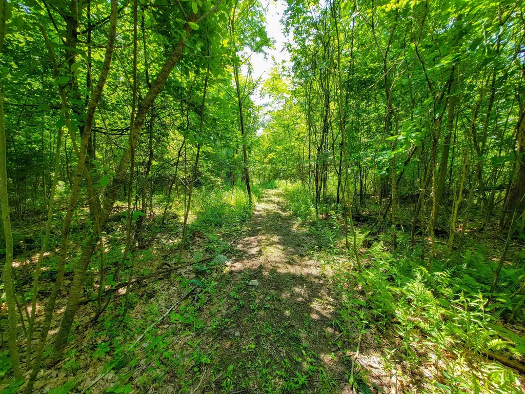 21 Nickerson Road Brandon VT 05733