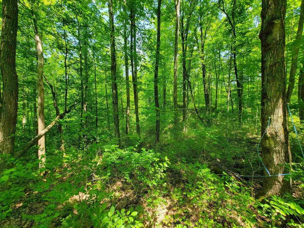 21 Nickerson Road Brandon VT 05733