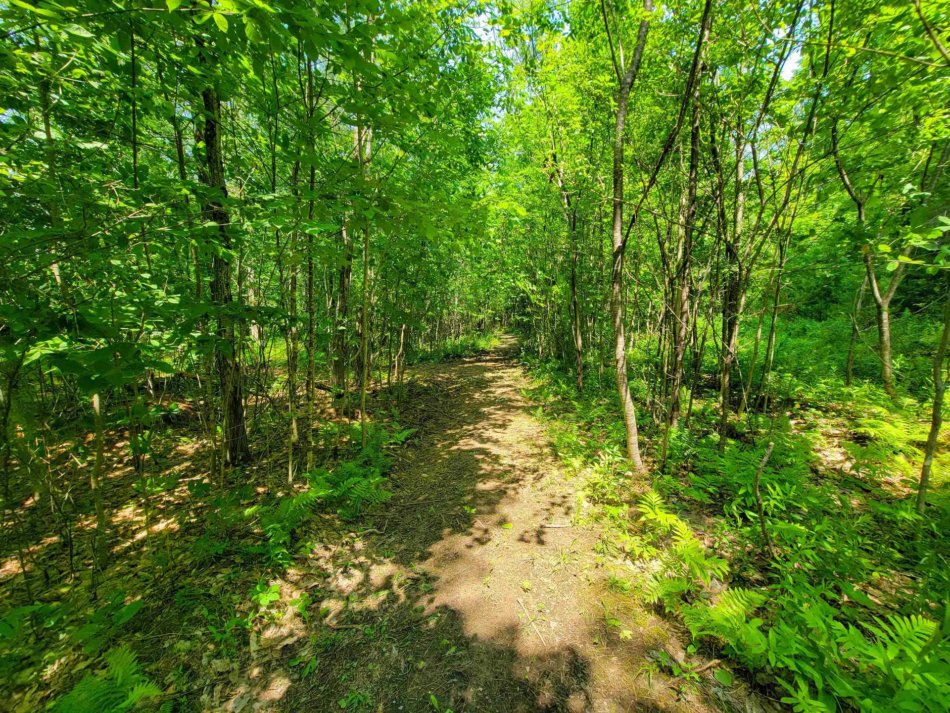 21 Nickerson Road Brandon VT 05733