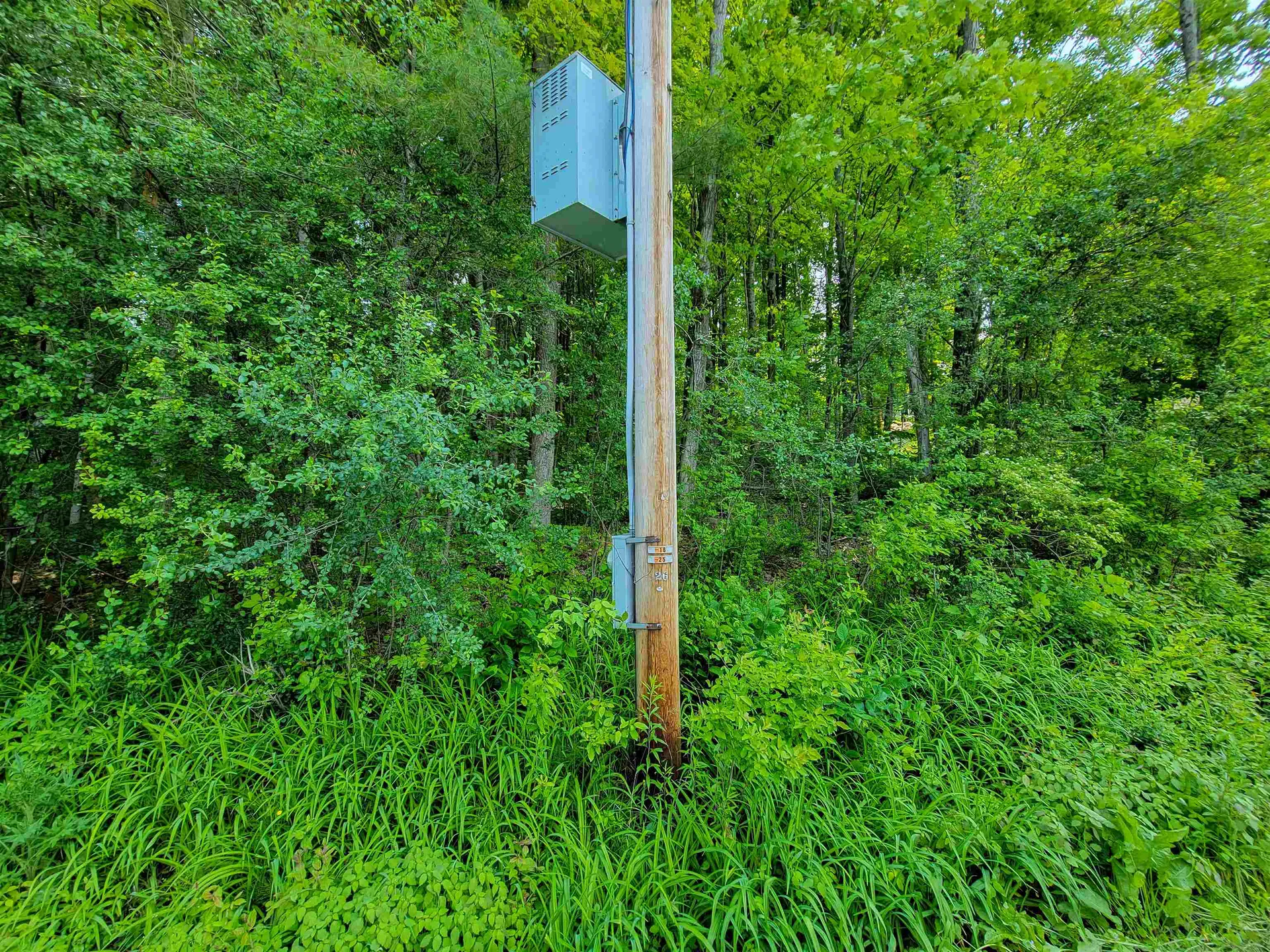 21 Nickerson Road Brandon VT 05733