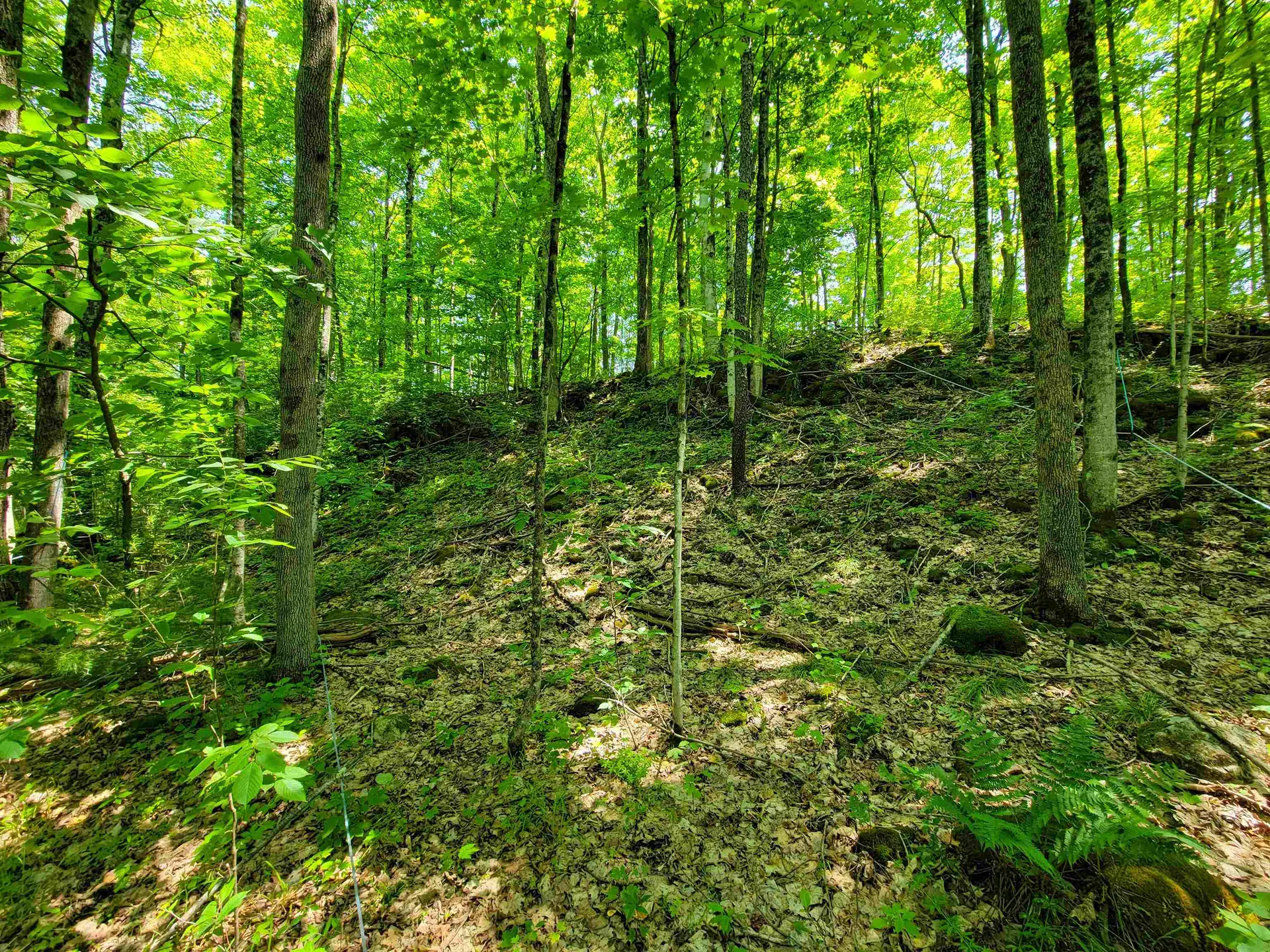 21 Nickerson Road Brandon VT 05733